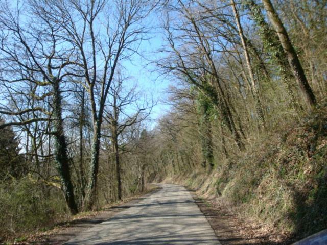 Le Poirier De Warre Villa Durbuy Kültér fotó